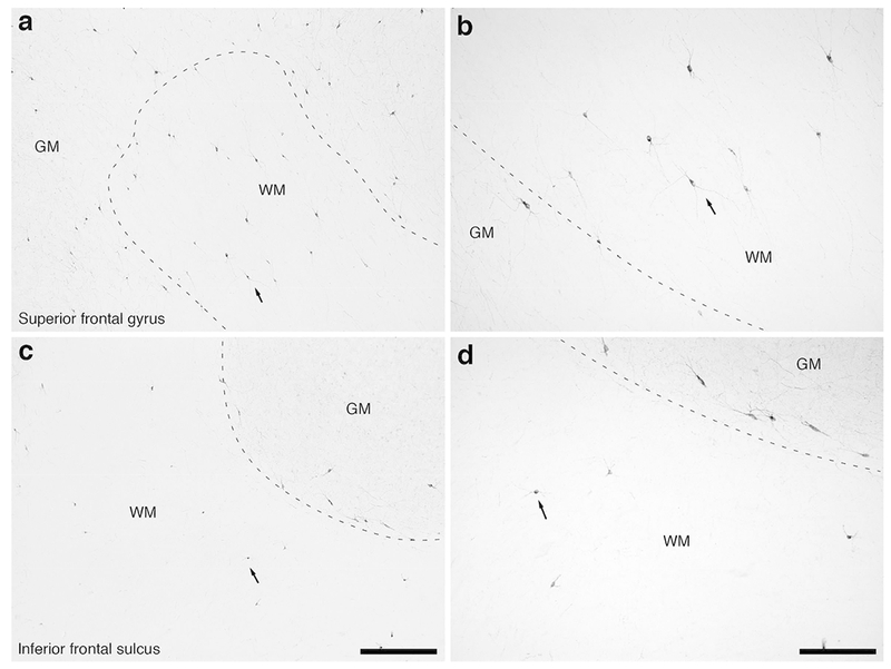 Figure 7: