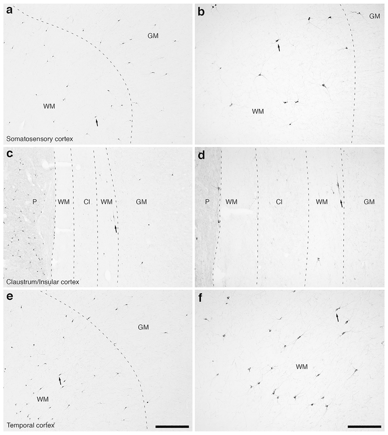 Figure 9: