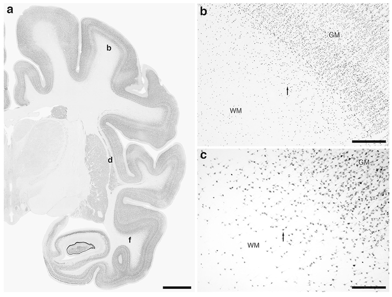 Figure 3: