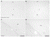 Figure 12: