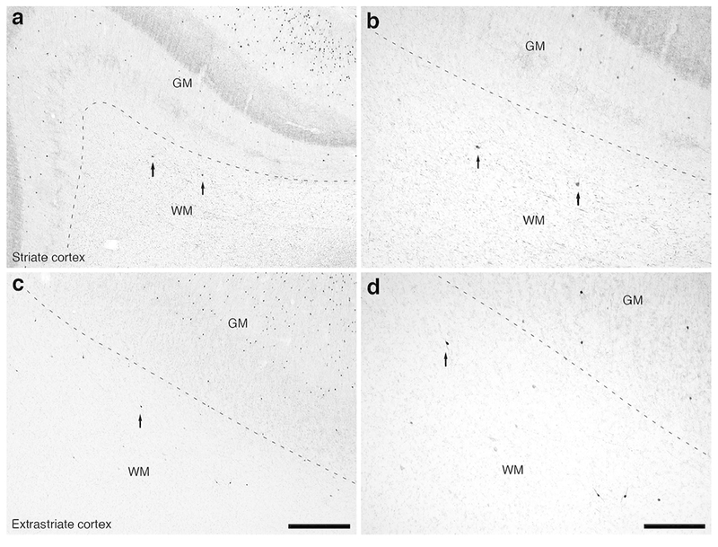 Figure 14: