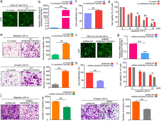 Long noncoding RNA NONHSAT160169.1 promotes resistance via hsa-let-7c ...