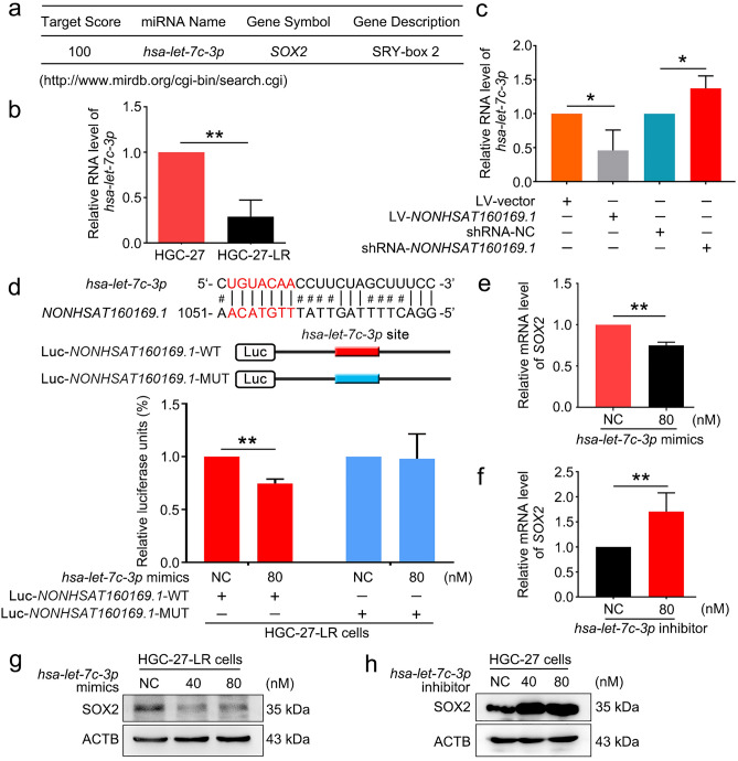 Long noncoding RNA NONHSAT160169.1 promotes resistance via hsa-let-7c ...