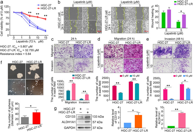 Long noncoding RNA NONHSAT160169.1 promotes resistance via hsa-let-7c ...