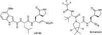 Fig. 10