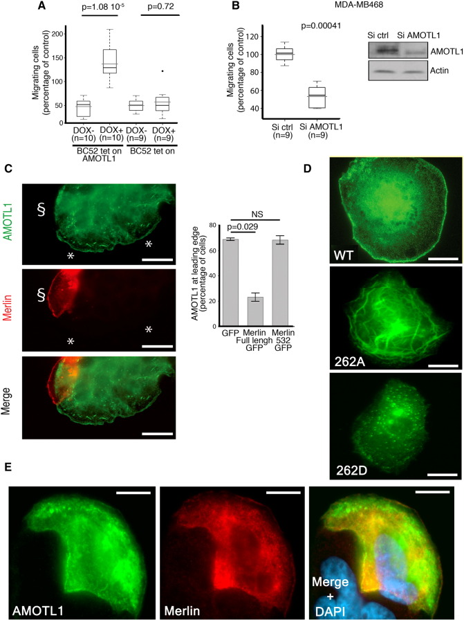 Figure 6