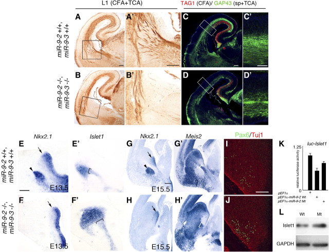 Figure 10.