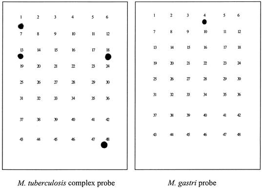 FIG. 2.