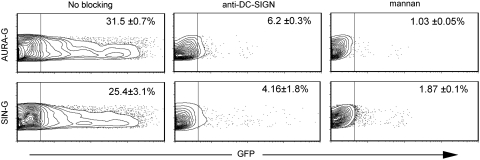 FIG. 5.