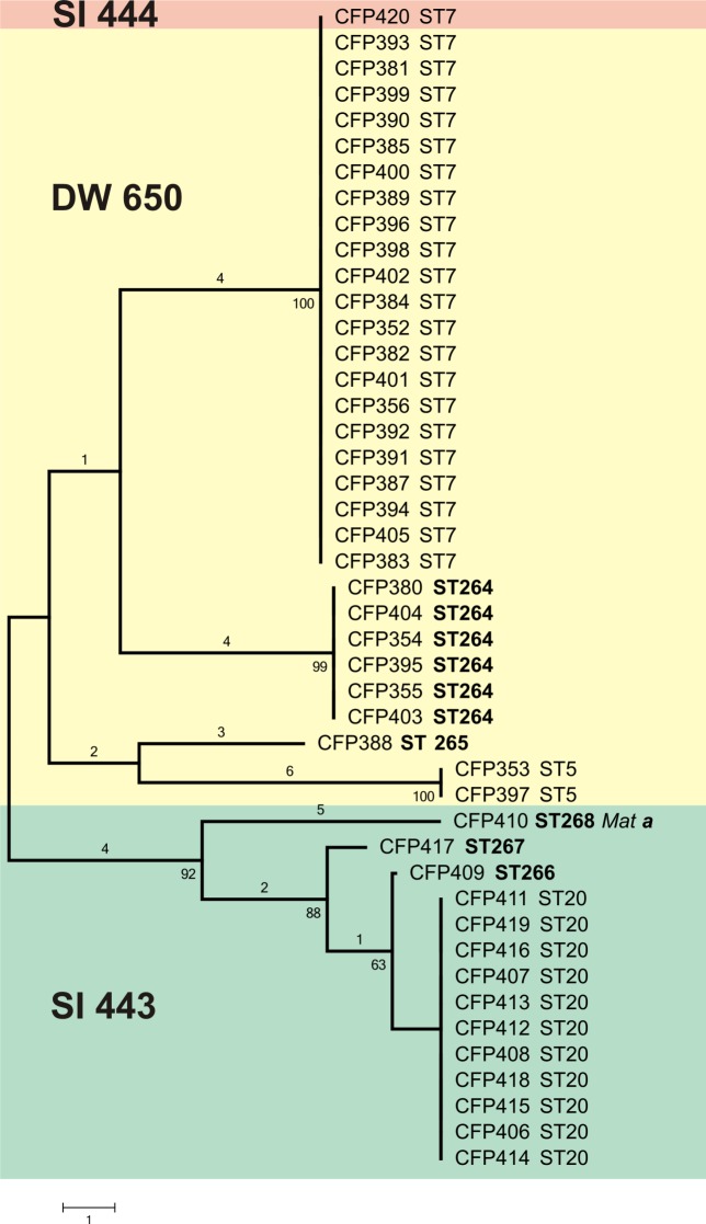 Fig 2