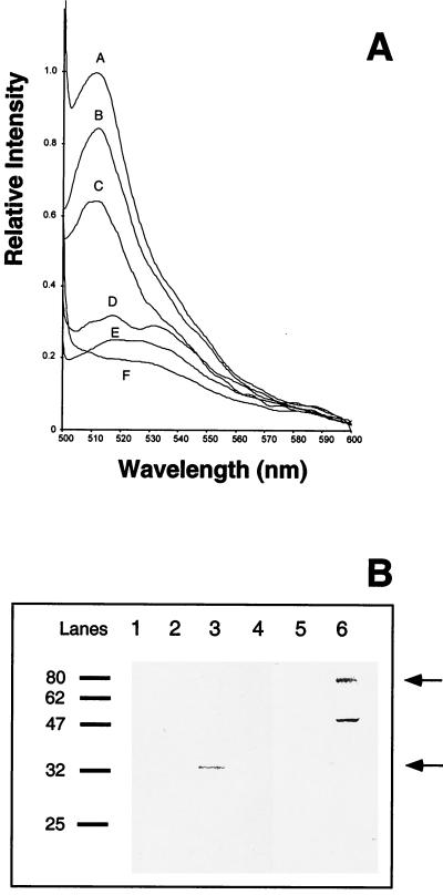 FIG. 5