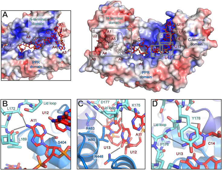 Fig. 4.