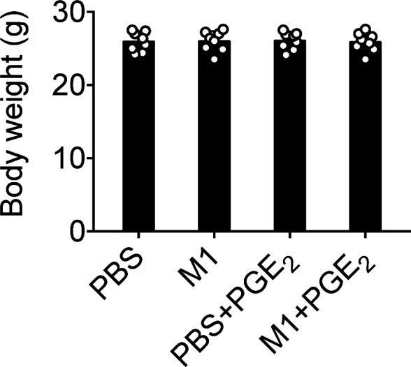 Figure 8—figure supplement 1.