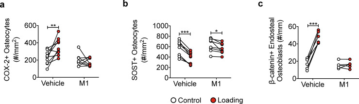 Figure 7—figure supplement 1.