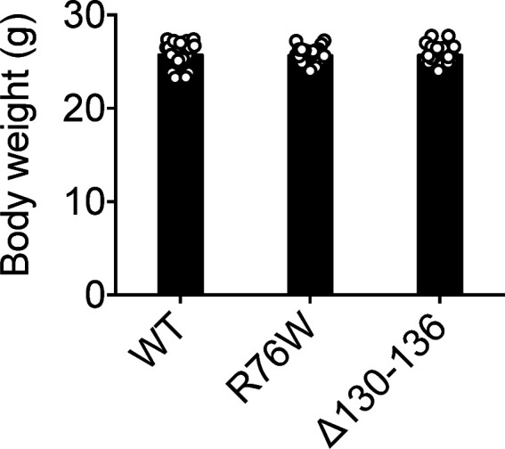 Figure 1—figure supplement 3.