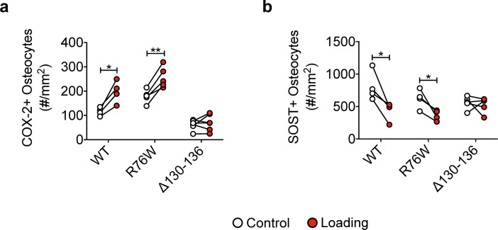 Figure 4—figure supplement 1.