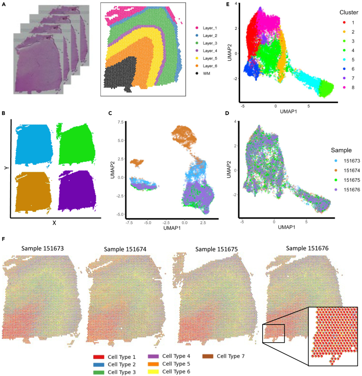 Figure 4