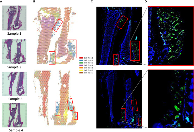 Figure 6