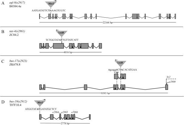 Figure 2.—