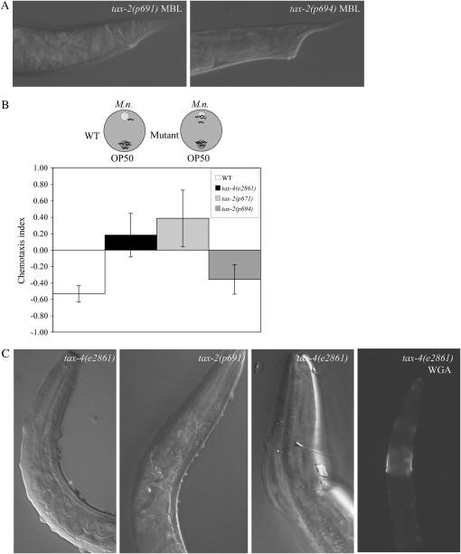 Figure 5.—