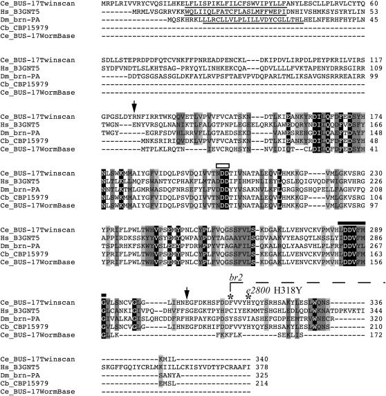 Figure 6.—