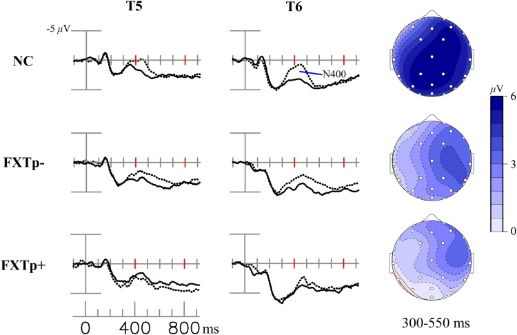 FIGURE 3