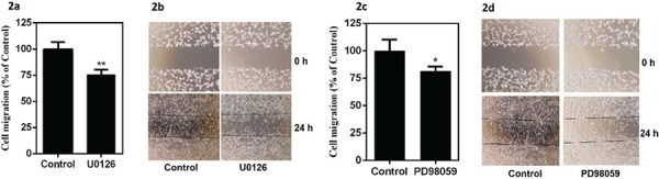 Fig. 2: