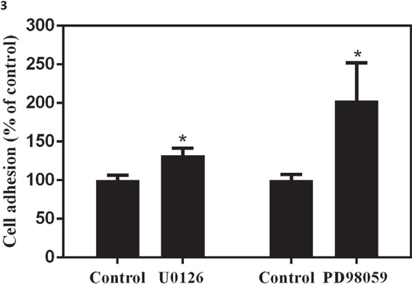 Fig. 3: