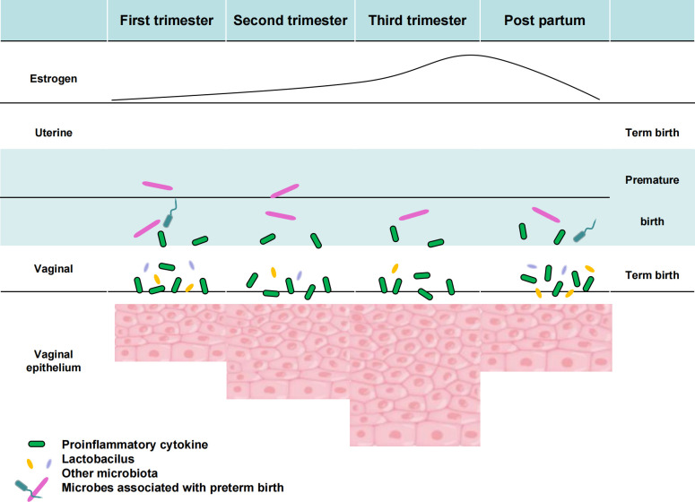 Figure 4