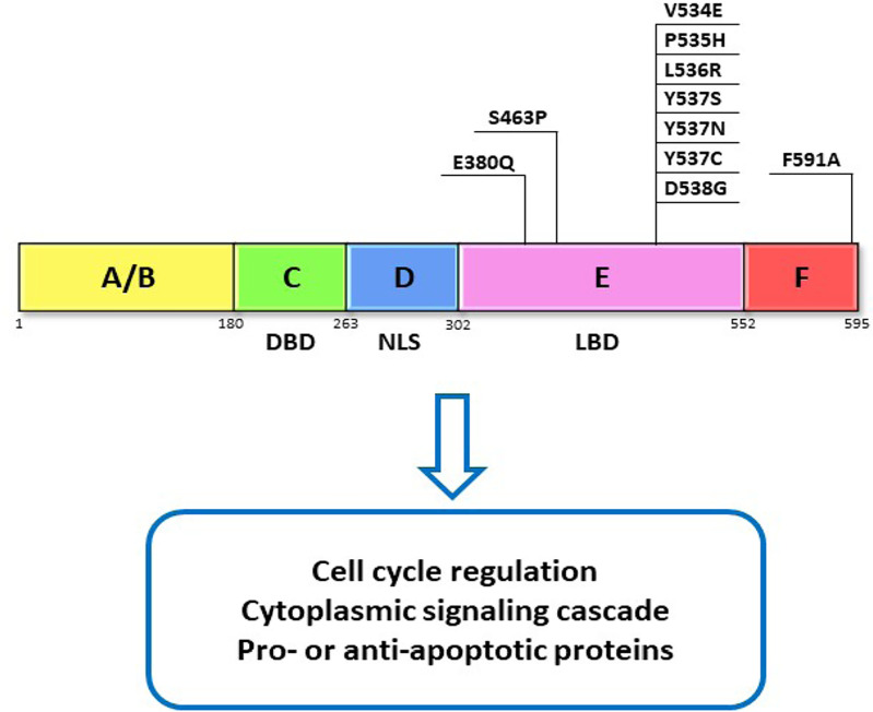 Figure 1.