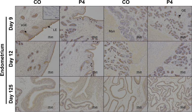 Fig. 4