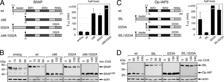 FIG 2