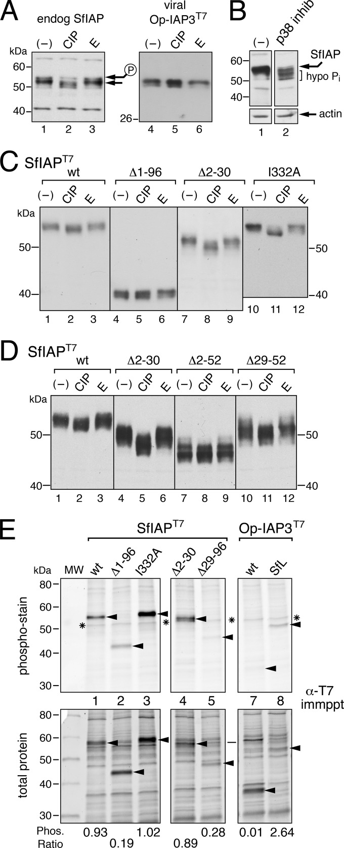 FIG 5