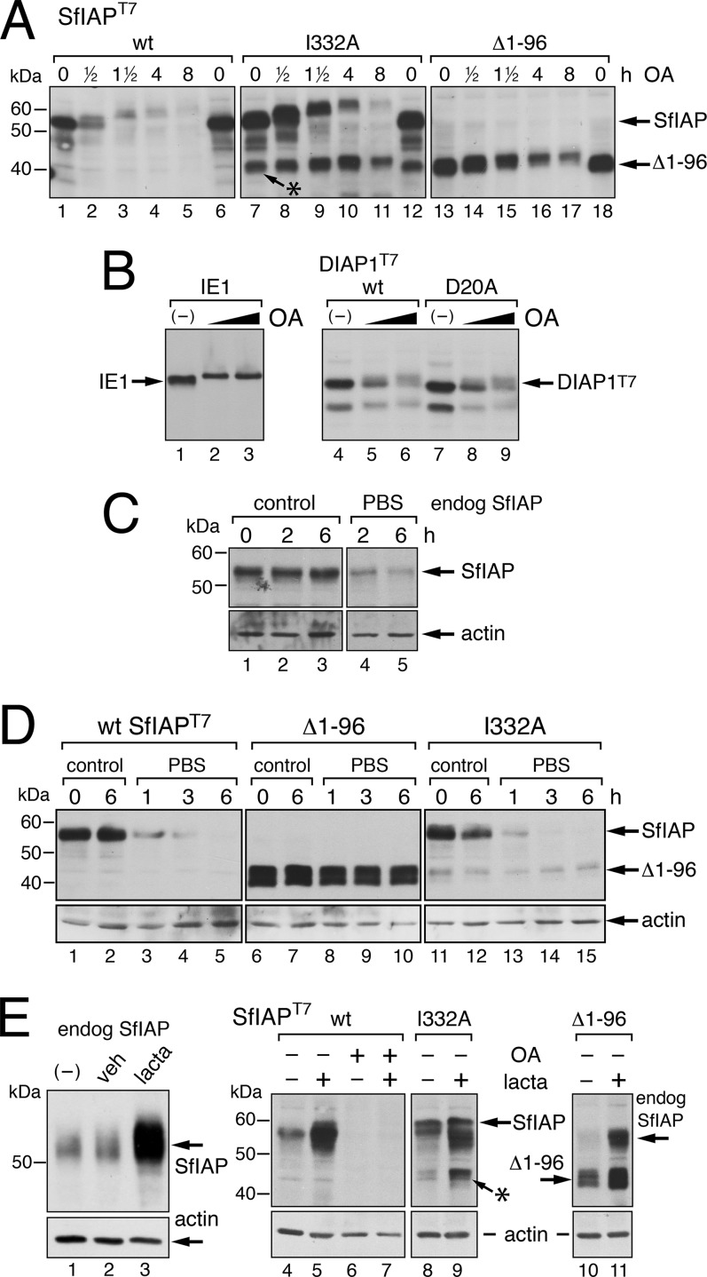 FIG 6