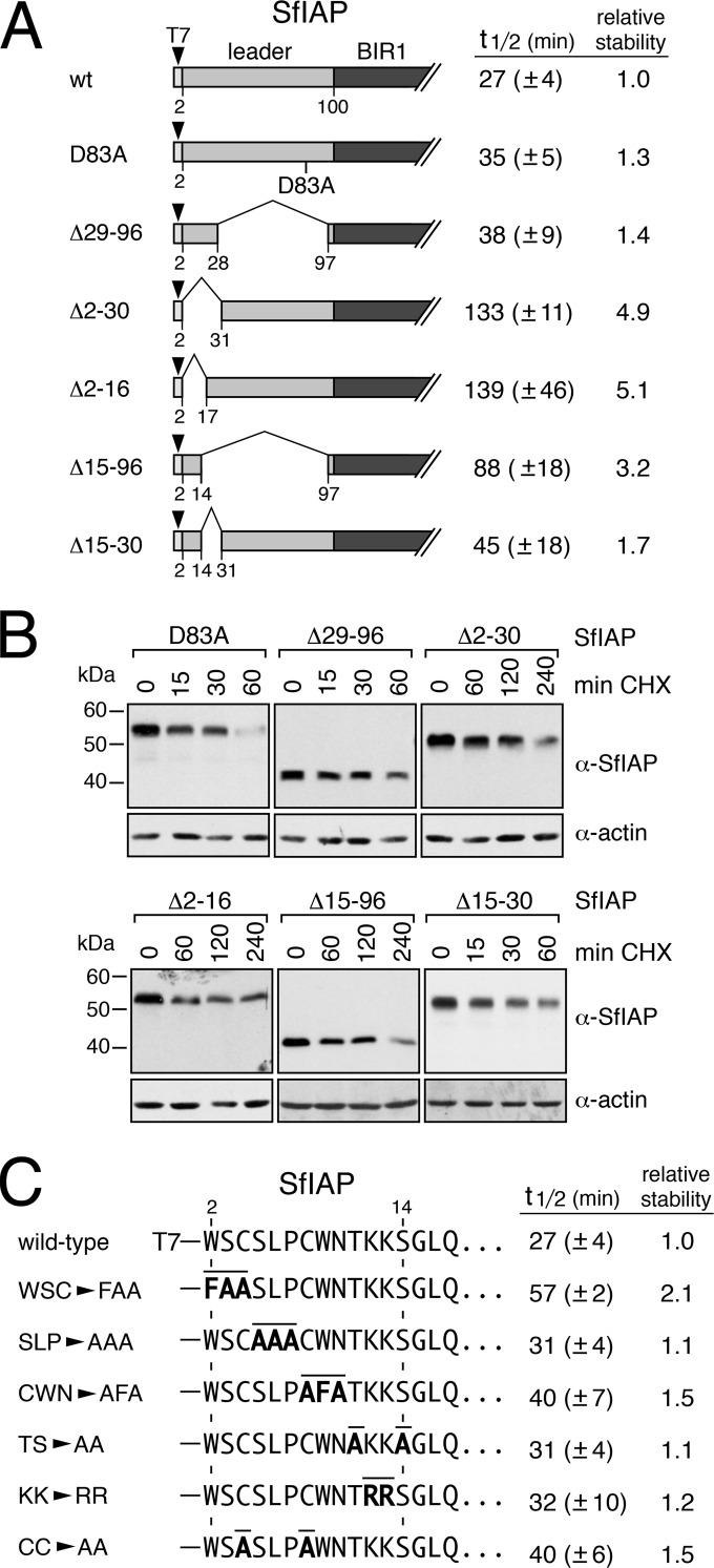 FIG 3