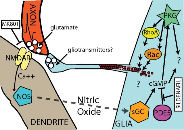 Figure 7.