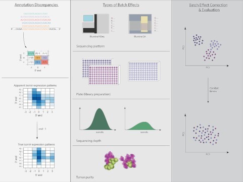 Graphical Abstract