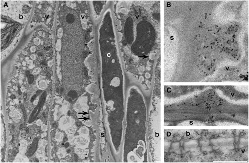 Figure 13.