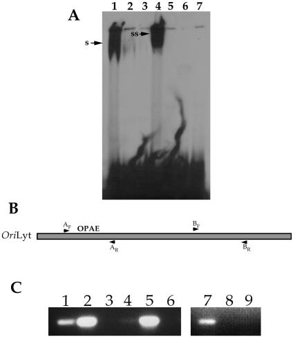 FIG. 7.