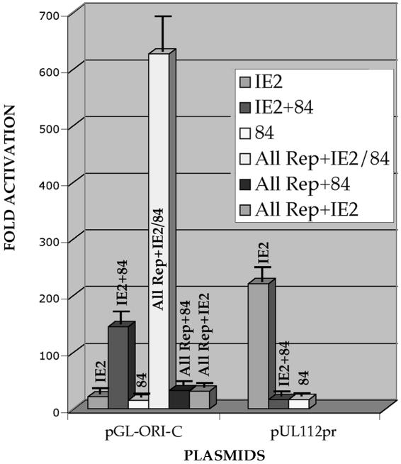 FIG. 6.