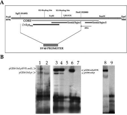 FIG. 9.