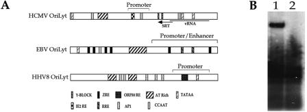 FIG. 8.