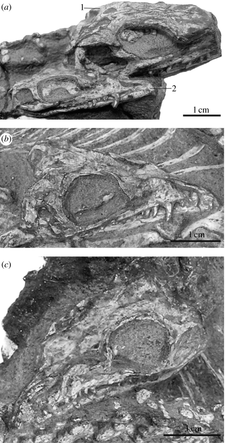 Figure 2