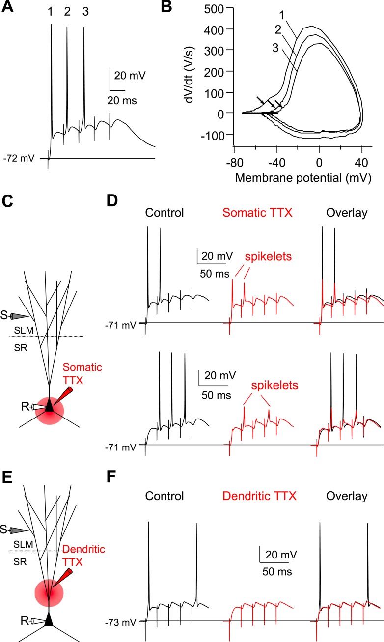 Figure 6.