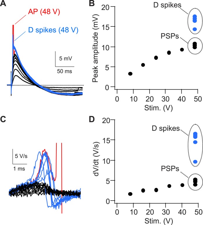 Figure 9—figure supplement 1.