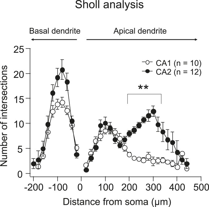 Figure 10—figure supplement 1.