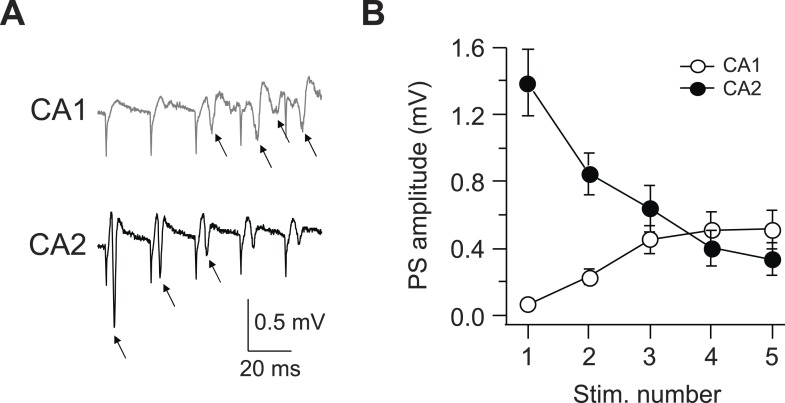 Figure 6—figure supplement 1.