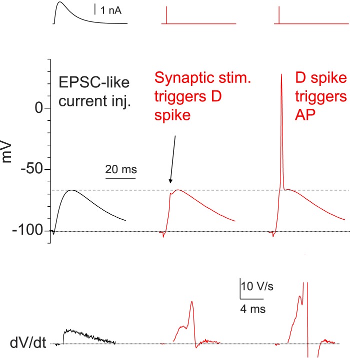 Figure 5—figure supplement 1.