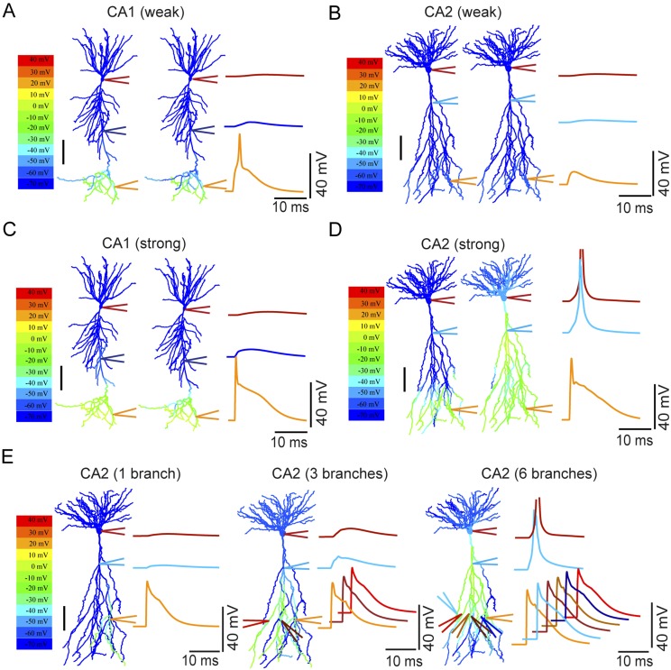 Figure 10.