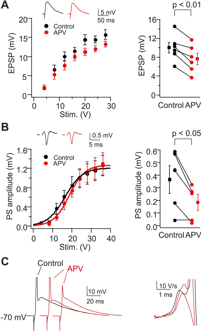 Figure 8—figure supplement 2.